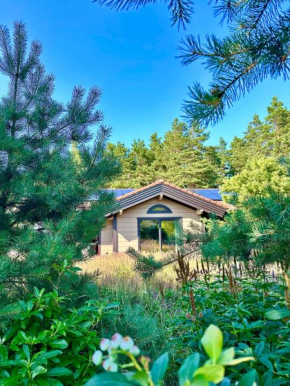Villa Misko Takas, Palanga
